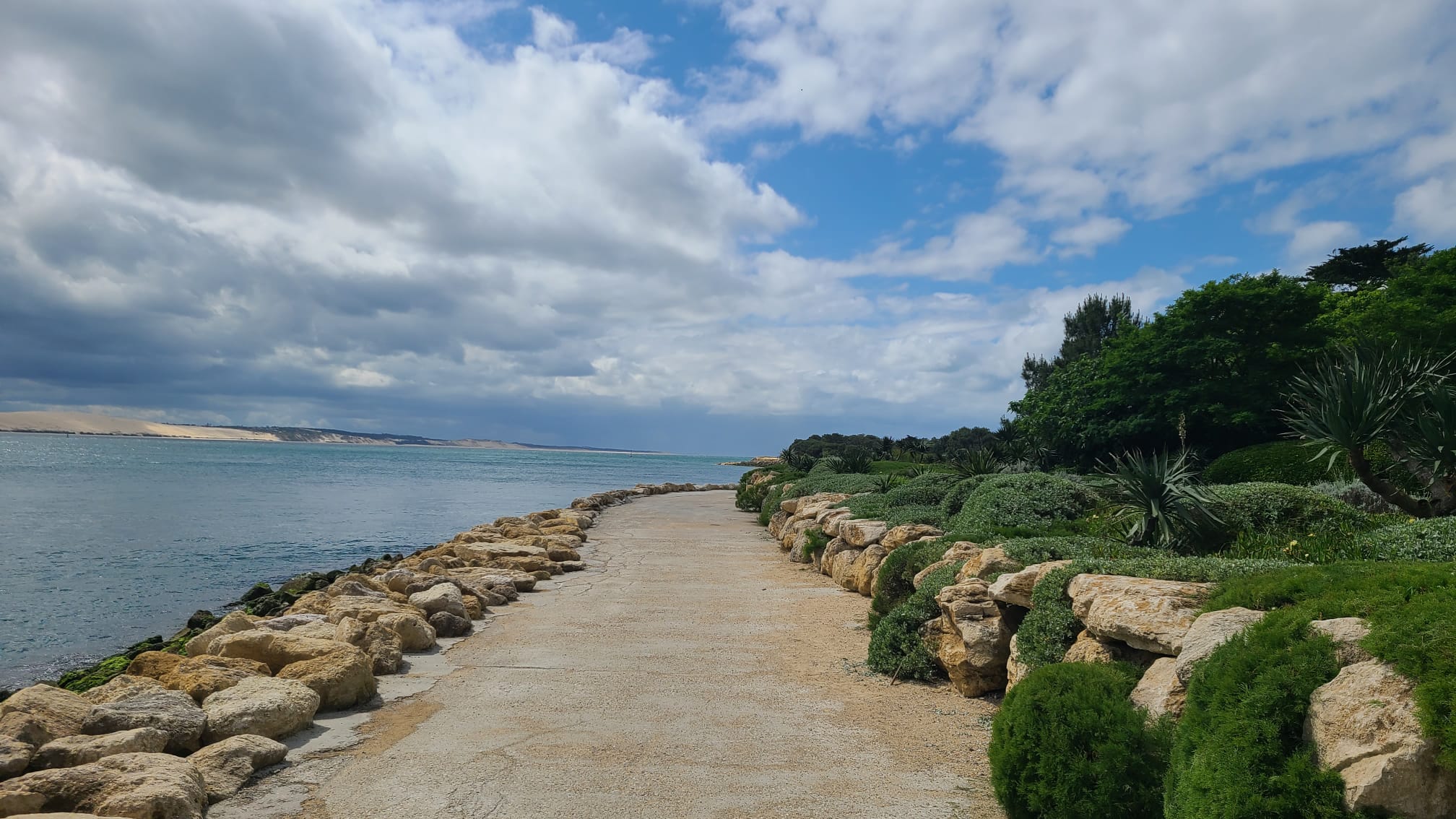 Un chemin balisé de pierres le long du Bassin d'Arcachon, entre l'eau et la végétation