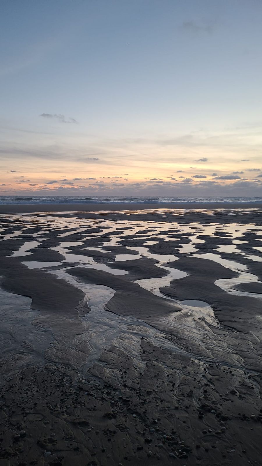 Estran à marée basse au crépuscule, où de multiples vasques d'eau dessinent un même mouvement