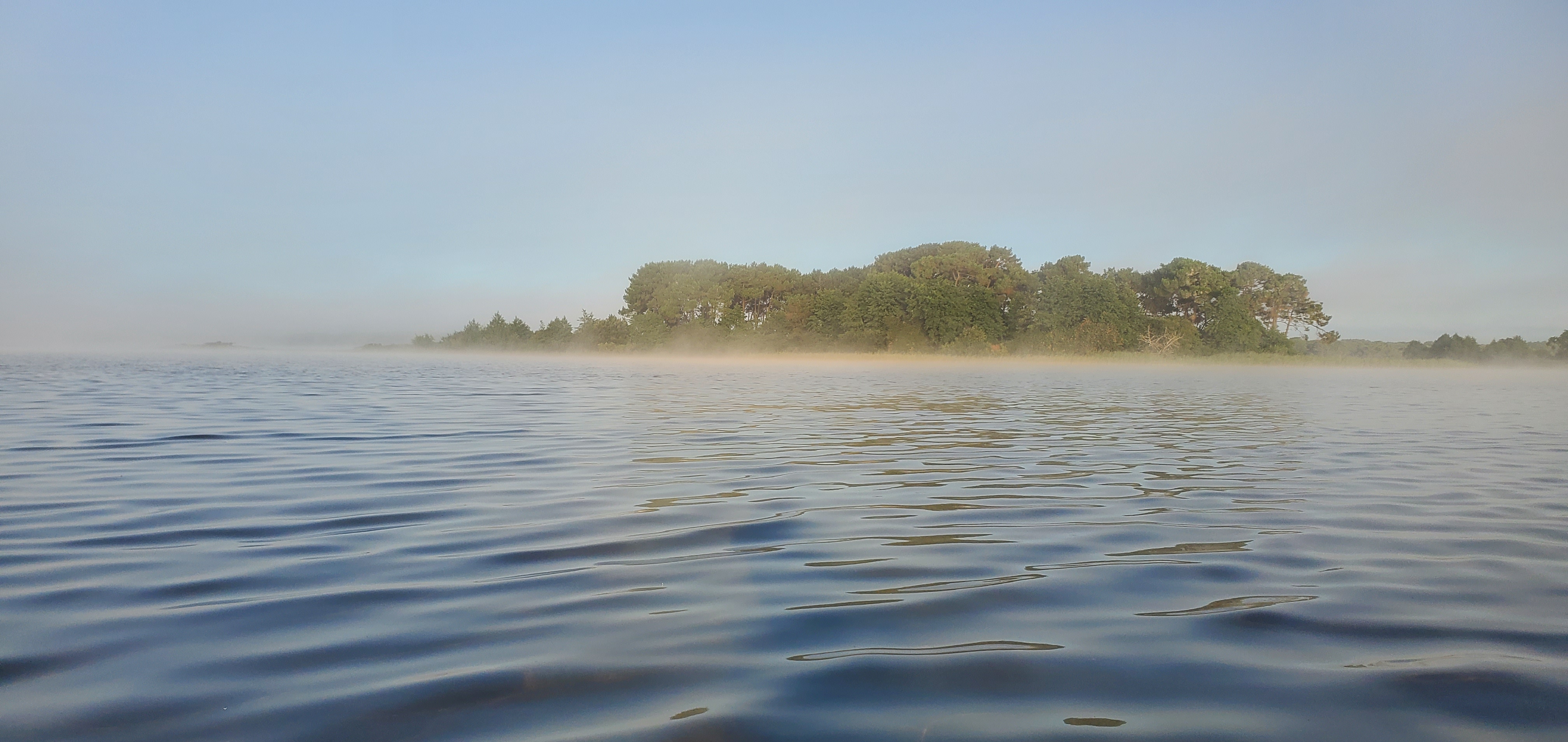 Une brume matinale se levant sur un lac, laissant peu à peu apparaître la rive